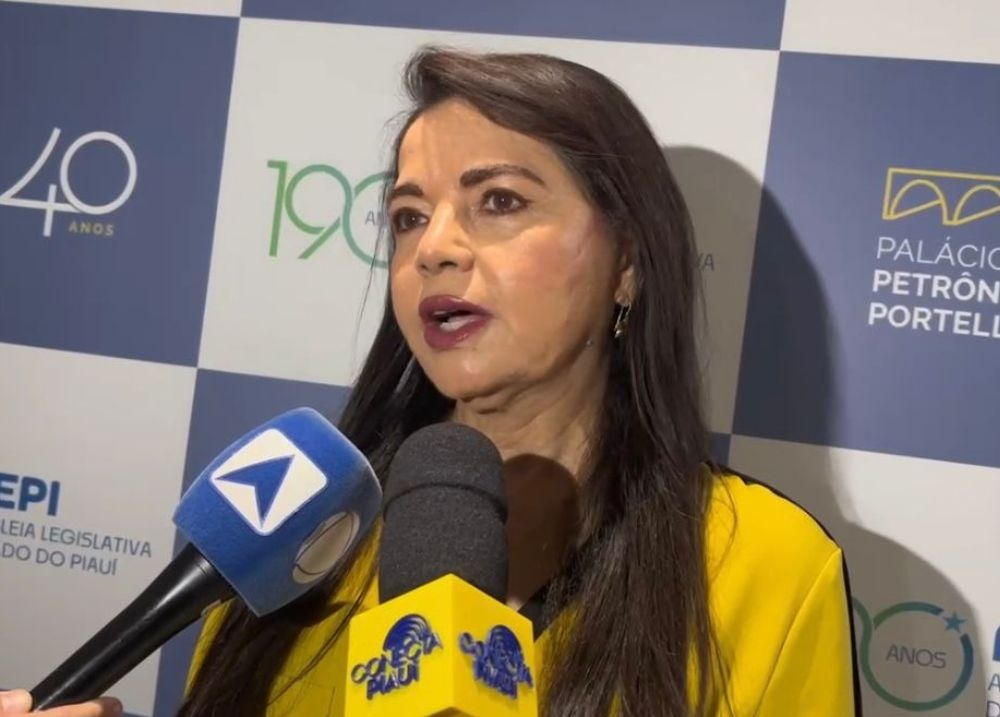Tereza Britto, presidente estadual do Partido Verde (PV)
