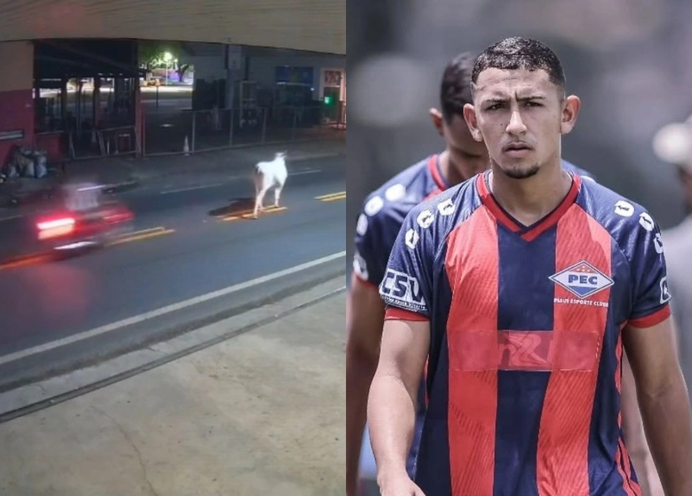 Vaca envolvida em acidente que matou jogador do Piauí era de parente da vítima