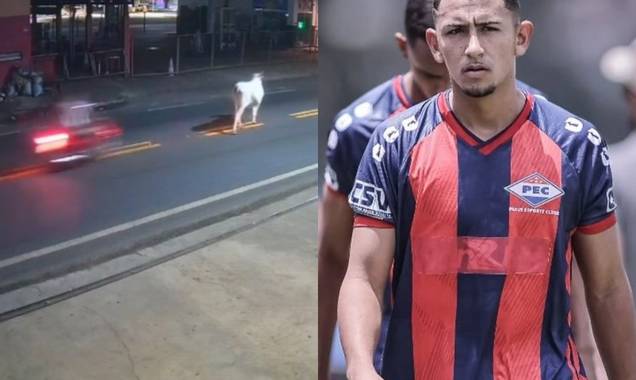 Vaca envolvida em acidente que matou jogador do Piauí era de parente da vítima
