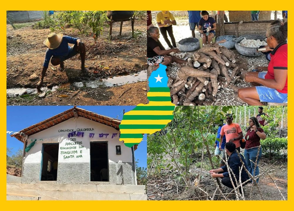 Vereda de Anacleto: um retrato vivo da força quilombola no coração do Piauí