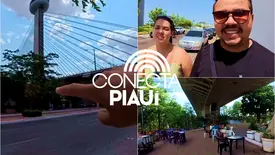 Visita à Ponte Estaiada (Foto: Reprodução:  Por Onde Indo)