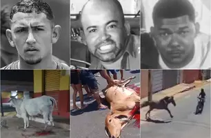 Vítimas de acidentes envolvendo animais no Piauí (Foto: Reprodução)
