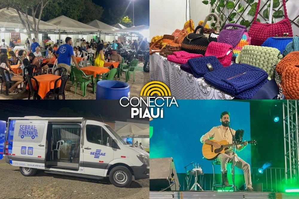 5ª Feira do Empreendedorismo movimenta comércio local em Demerval Lobão