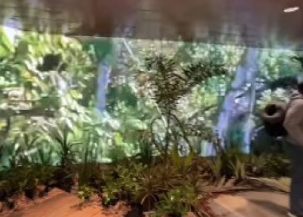 Aeroporto de Belém ganha decoração inspirada na Amazônia para a COP 30