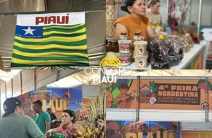 Agricultores do Piauí desembarcam para participam da 4ª Feira Nordestina no MA (Foto: Conecta Piauí)