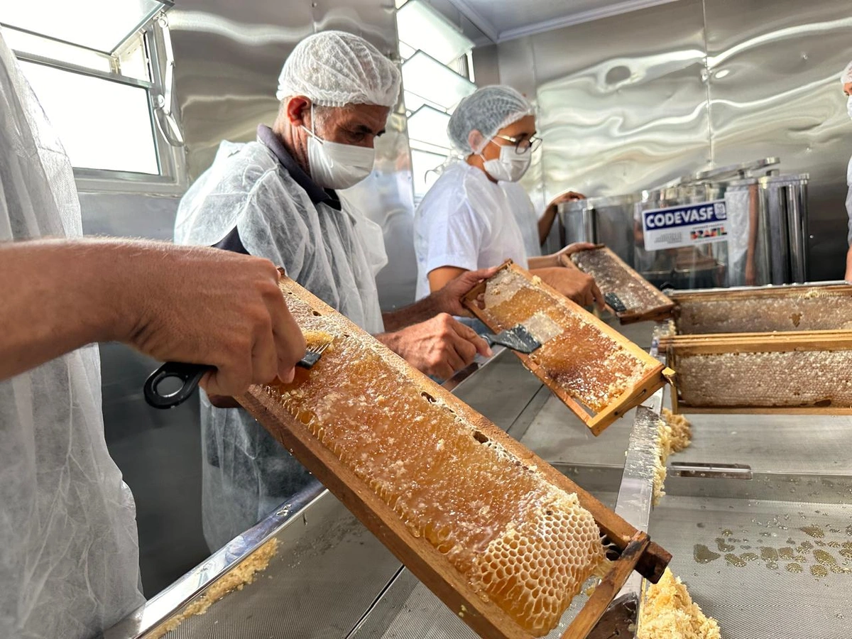 Apicultura e patrulhas agrícolas lideram demandas à Codevasf no Piauí