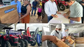 Apicultura e patrulhas agrícolas lideram demandas à Codevasf no Piauí (Foto: Reprodução)