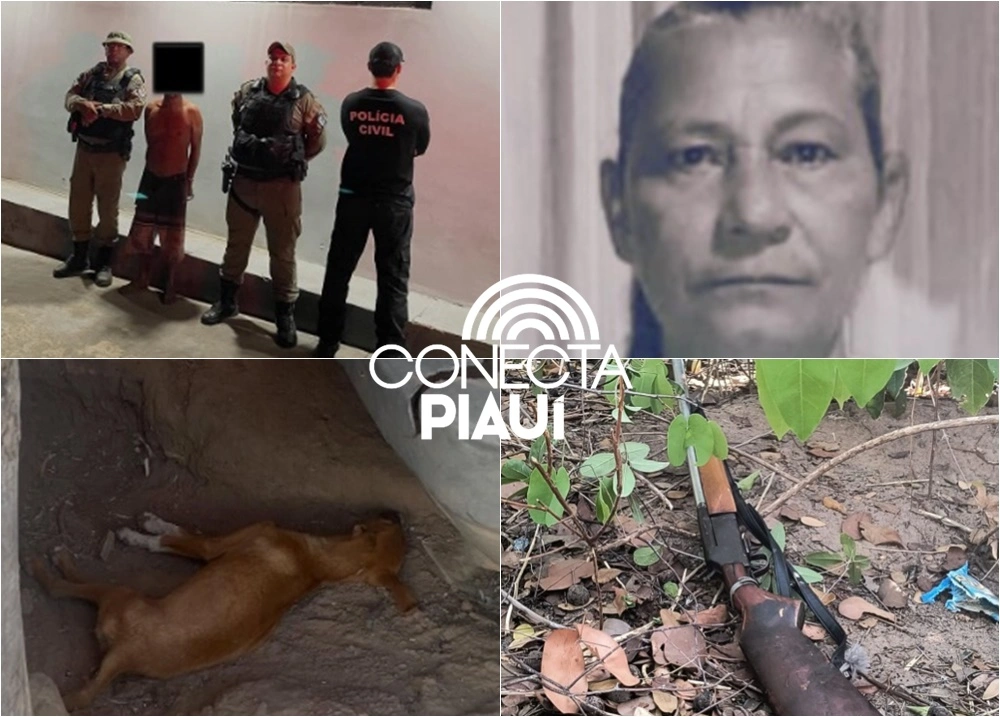 Após matar a mulher e cachorro com espingarda, homem é preso em cidade do Piauí