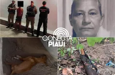 Após matar a mulher e cachorro com espingarda, homem é preso em cidade do Piauí