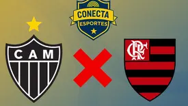Atlético-MG x Flamengo (Foto: Conecta Piauí)