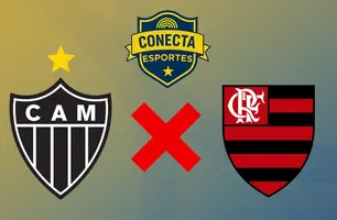 Atlético-MG x Flamengo (Foto: Conecta Piauí)