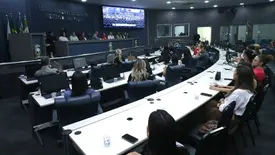 Audiência na Câmara Municipal de Teresina (Foto: Reprodução)