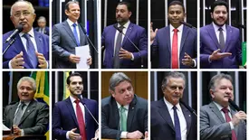 Bancada federal do Piauí (Foto: Montagem)