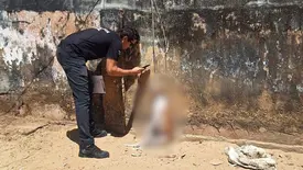 Cachorro morre ao se prender em fio e mobiliza Polícia Ambiental e IML em Parnaíba (Foto: Reprodução)