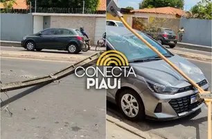 Caminhão derruba poste, atinge carro e interdita avenida na zona Leste de Teresina (Foto: Reprodução)