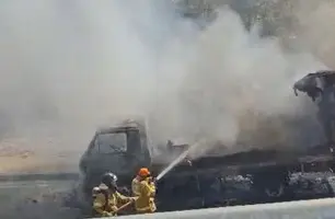 Caminhão incendeia e mobiliza equipes de emergência na BR-316 (Foto: Reprodução)