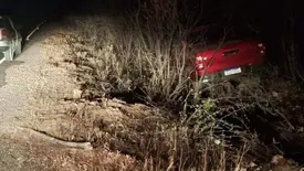 Caminhonete colide com vaca e sai da pista na PI-243 entre Jaicós e Belém do Piauí (Foto: Reprodução)