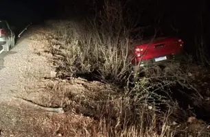 Caminhonete colide com vaca e sai da pista na PI-243 entre Jaicós e Belém do Piauí (Foto: Reprodução)