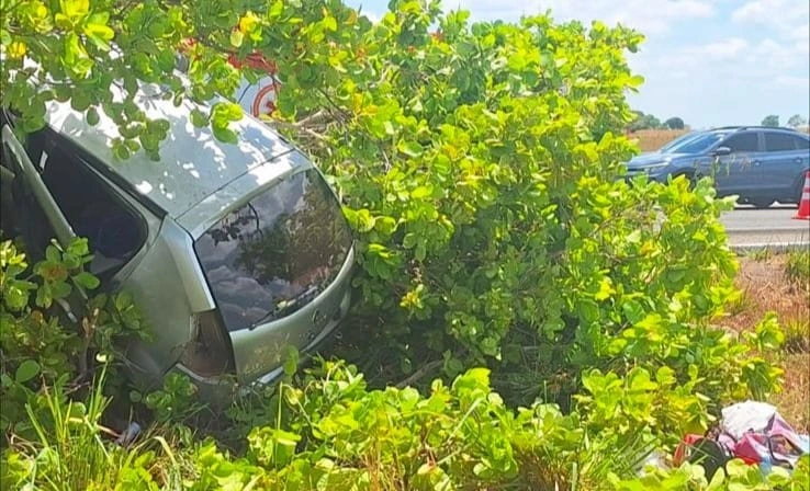 Carro fica pendurado em árvore após acidente na BR-343 em Piracuruca