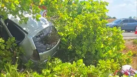 Carro fica pendurado em árvore após acidente na BR-343 em Piracuruca (Foto: Reprodução)