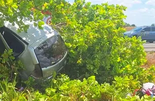 Carro fica pendurado em árvore após acidente na BR-343 em Piracuruca (Foto: Reprodução)