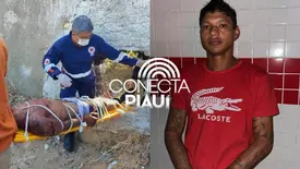 'Cavalo Vermelho', baleado dentro de terreno baldio em Parnaíba (Foto: Conecta Piauí/Folha do Delta)