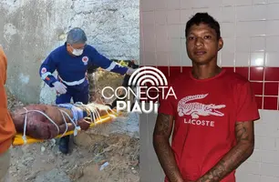 'Cavalo Vermelho', baleado dentro de terreno baldio em Parnaíba (Foto: Conecta Piauí/Folha do Delta)