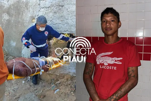 'Cavalo Vermelho', baleado dentro de terreno baldio em Parnaíba