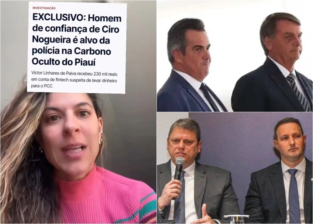 Citando matéria com Ciro Nogueira, influencer critica manobra contra investigações