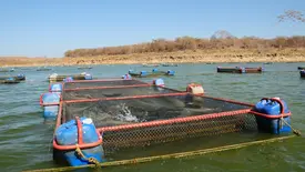 Codevasf abre inscrições para XIII Encontro de Pesca e Aquicultura no Piauí (Foto: Reprodução)