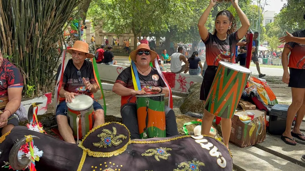 Coletivo Boi da Terra valoriza raízes culturais em Belém com música, dança e arte