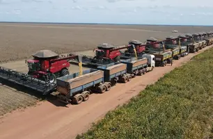 Colheita na Fazenda Ribeirão, da GEES, em Baixa Grande do Ribeiro (Foto: Reprodução)
