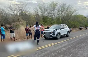 Comerciante morre atropelado na BR-135 em Eliseu Martins (Foto: Reprodução)