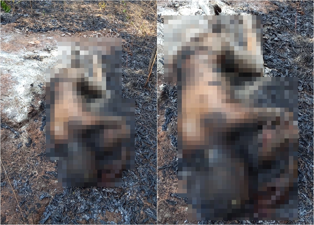 Corpo carbonizado é encontrado às margens da BR-226 em Timon