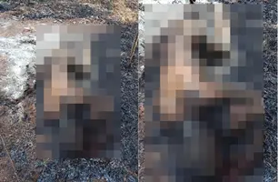 Corpo carbonizado é encontrado às margens da BR-226 em Timon (Foto: Reprodução)