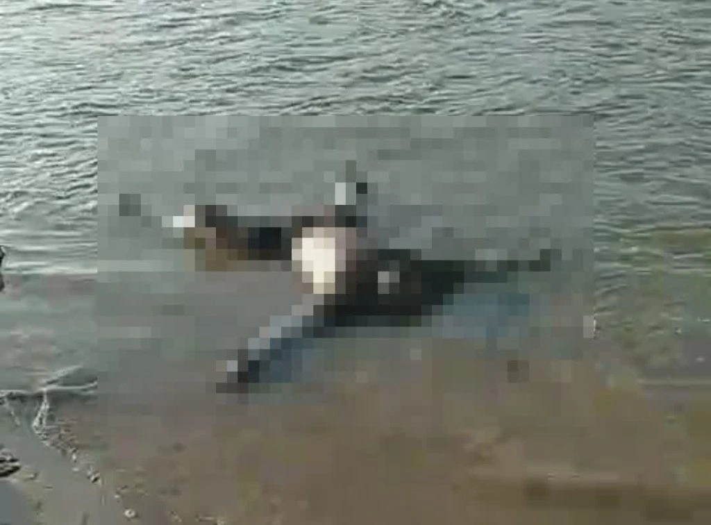 Corpo é encontrado boiando no Rio Parnaíba em cidade do Piauí