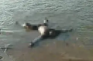 Corpo é encontrado boiando no Rio Parnaíba em cidade do Piauí (Foto: Reprodução)