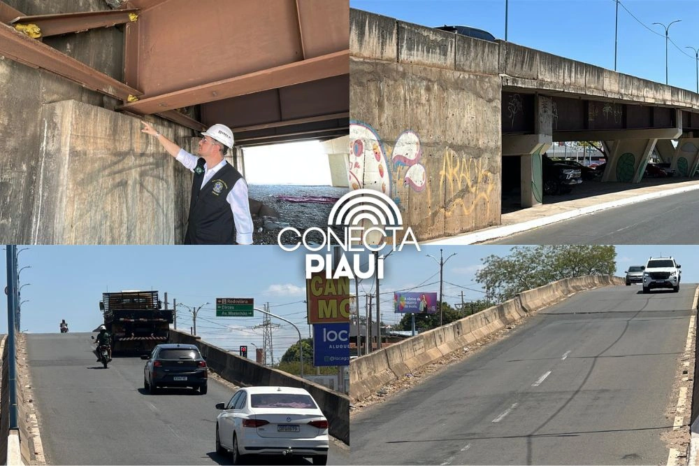 CREA-PI alerta: elevado da Miguel Rosa corre risco de colapso se nada for feito