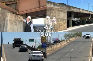CREA-PI alerta: elevado da Miguel Rosa corre risco de colapso se nada for feito (Foto: Conecta Piauí)