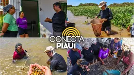 Deputado Limma visita Rota das Marisqueiras no litoral piauiense (Foto: Reprodução)