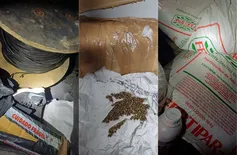 Dois homens são detidos com sementes de maconha e insumos agrícolas em Valença