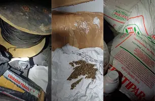 Dois homens são detidos com sementes de maconha e insumos agrícolas em Valença (Foto: Divulgação/PRF)