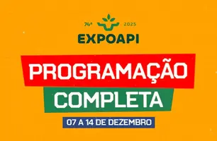 Expoapi (Foto: Reprodução)