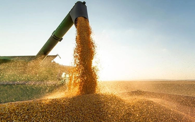 Exportações no Piauí crescem 33,8% em outubro e reforçam vigor da economia estado