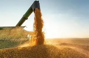 Exportações no Piauí crescem 33,8% em outubro e reforçam vigor da economia estado (Foto: Reprodução)