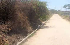 Feto é encontrado em matagal na zona Leste de Teresina