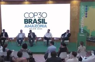Fonteles defende industrialização do Nordeste com base em energia limpa na COP 30 (Foto: Reprodução)