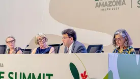 Governador apresenta Plano de Ação Climática do Piauí e anuncia plano do Nordeste na COP30 (Foto: Juliana Oliveira)