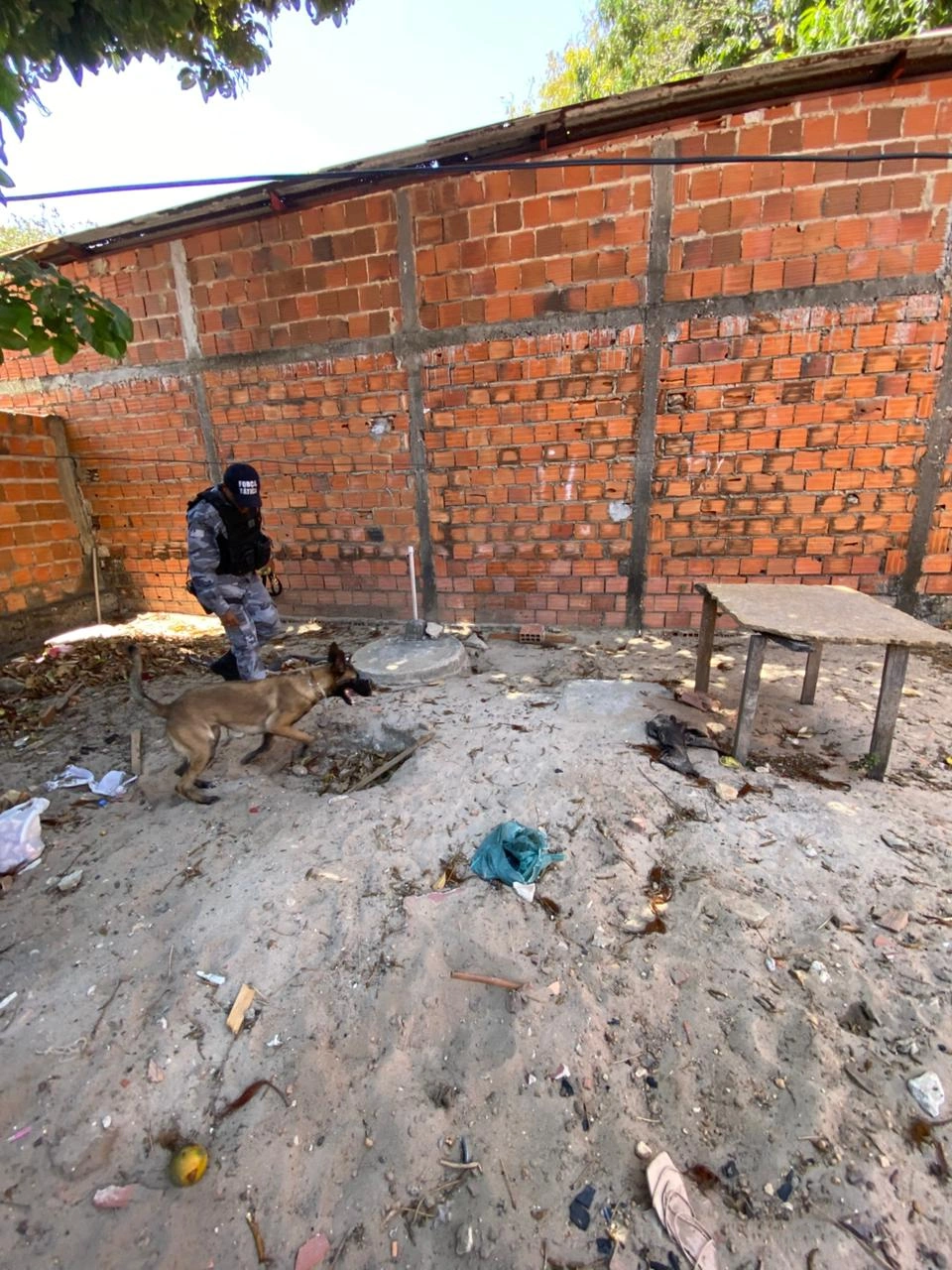 Grupo é preso com motocicleta roubada dentro de residência em Parnaíba