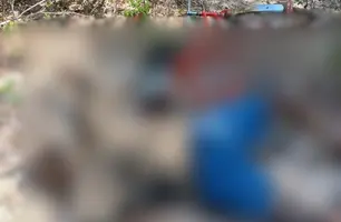 Homem é encontrado morto em área de mata na zona rural de José de Freitas (Foto: Reprodução)